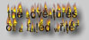 the adventures of a failed writer